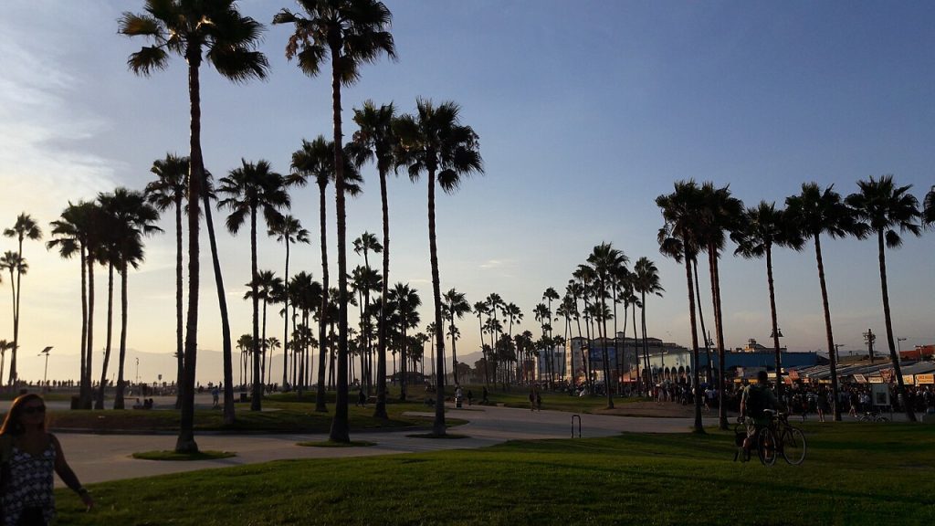 Venice Beach